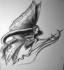 20070220_witch_01_700.jpg