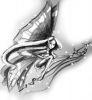 20070220_witch_02_700.jpg