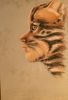 Filename=20051108_SBS_Leopard_02.jpg
Filesize=86KiB
Dimensions=408x600
Date added=Nov 09, 2005 20051108_SBS_Leopard_02.jpg