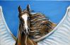 Filename=20070426_MaireHorse_02_700.jpg
Filesize=945KiB
Dimensions=1088x700
Date added=Apr 30, 2007 20070426_MaireHorse_02_700.jpg