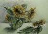 20051212_sunflowers.jpg