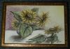 20051220_SBS_sunflowers_03.jpg