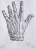 gips_5.jpg