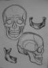 2001-2003_SculpStudy1.jpg
