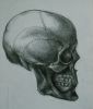 2001-2003_SculpStudy2.jpg