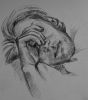 2002-2003_SleepingVasja.jpg