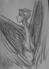 20051204_angel.jpg