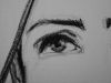 20060301_Zipped2_fragment3.jpg