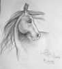 20060813_Janeda_Horse.jpg