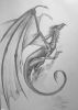 20060913_Dragon001_700.jpg