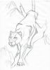 20061120_panther_back_700.jpg