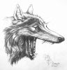 wolf.jpg