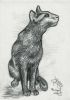 20050413_blackcat_web.jpg