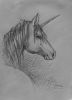 20060320_einhorn.jpg