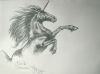 20060912_BlackUnicorn_.jpg