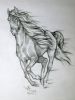 20070205_running_horse_v2_700.jpg