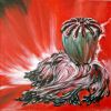 20070415_poppy_03fin_700.jpg