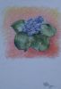Filename=200204_A4_flowers.jpg
Filesize=111KiB
Dimensions=482x700
Date added=Feb 11, 2006 200204_A4_flowers.jpg