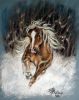 20070210_Horseforz_finished_700_.jpg
