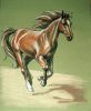 20070731_freedom01_700.jpg