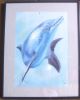 delfin.jpg