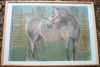 horse_green_rama.jpg