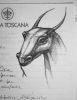 20060919_AbbaziaDiMonteOlivetto_scetch01.jpg