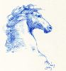 Filename=20090722_horsehead_700.jpg
Filesize=603KiB
Dimensions=656x700
Date added=Jul 22, 2009 20090722_horsehead_700.jpg